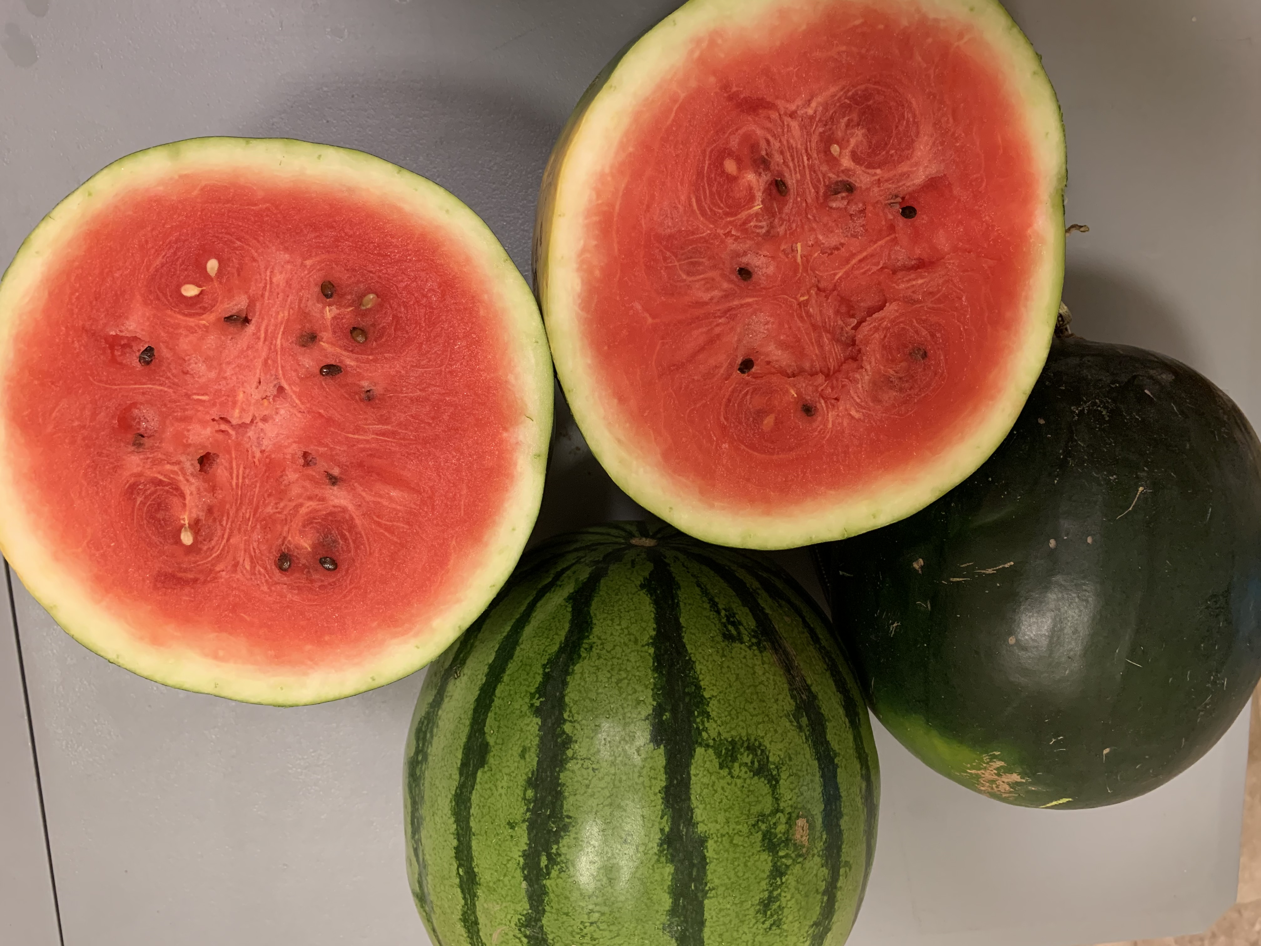 Watermelon